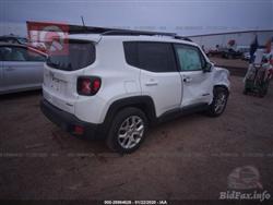 جيب رينيجيد